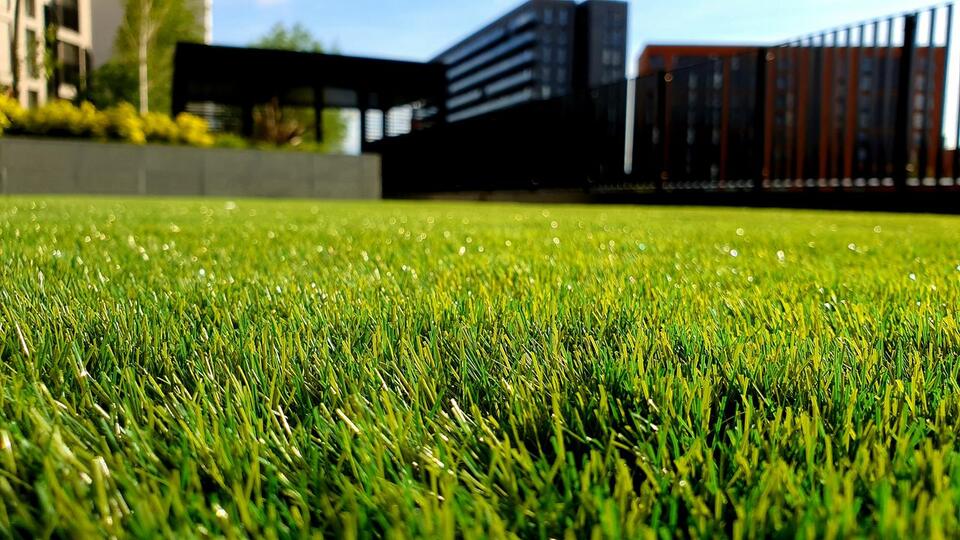 Lawn Glow-Up: September Is Go Time!