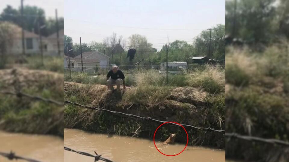 Utah couple’s quick thinking saves a pup