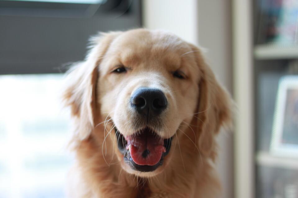 Cutest 5AM Wake-Up Call Ever