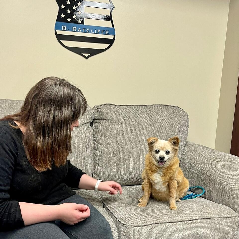Utah couple’s quick thinking saves a pup