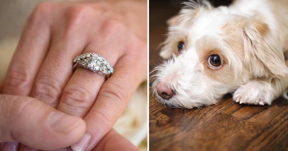 The wildest wedding ring rescue ever