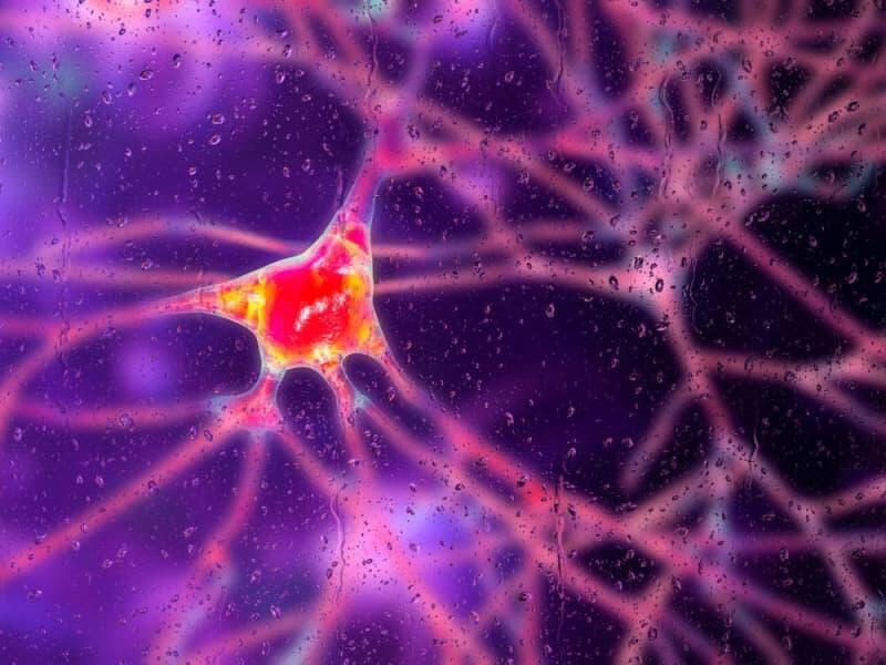 Brainwave Tech Gets a Jolt from Nvidia