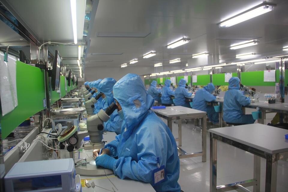 Where to Find the Safest Jobs in 2025