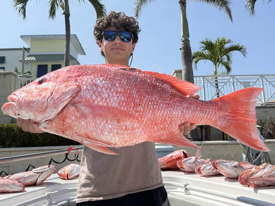 Florida red snapper’s 9-year journey revealed