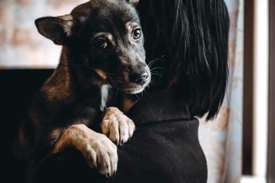 Wren’s first taste of freedom melts hearts
