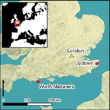 Medieval England’s DNA Plot Twist