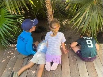 Fox News’ Ainsley & Hannity’s Fam Vacation Pics!