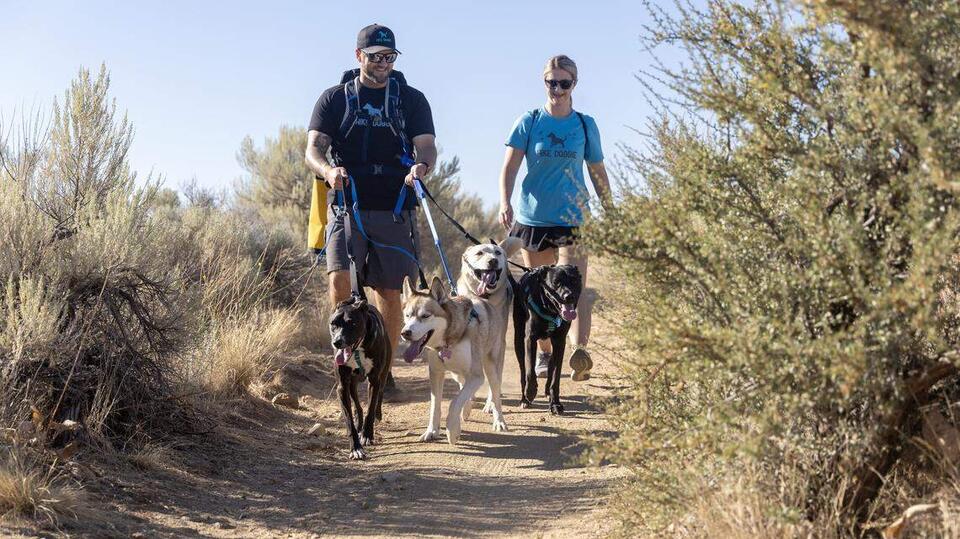 Boise’s Bark Bus brings dog adventures to life