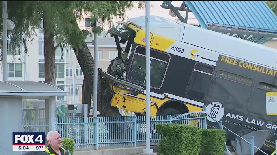 DART bus crashes into tree at White Rock station