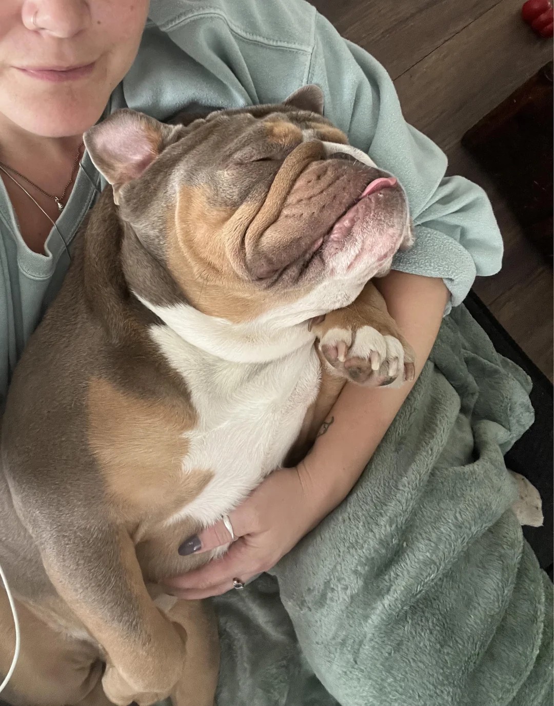 50-pound potato takes a nap spot 🥔😴
