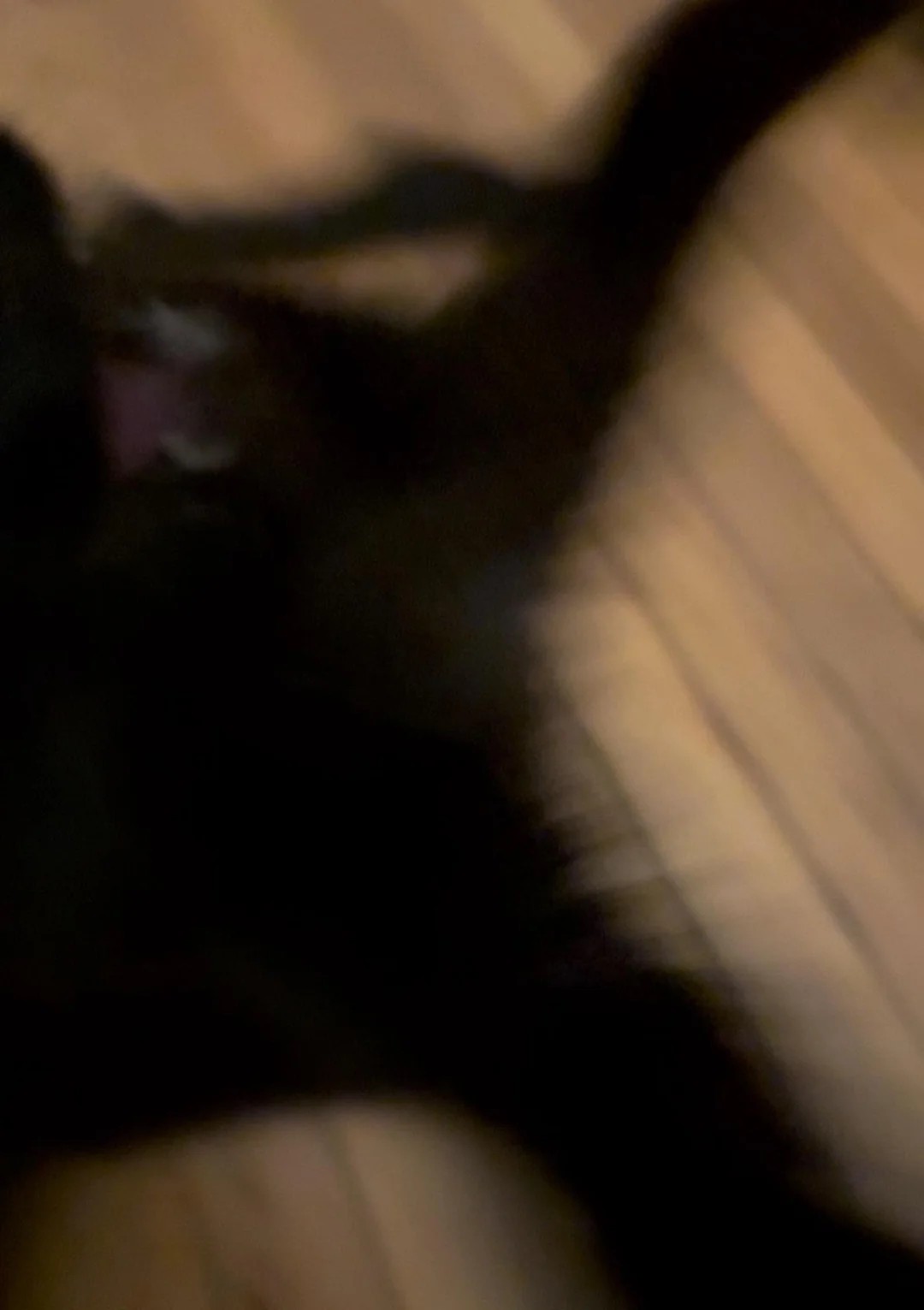 The last thing you see before you die🤭
