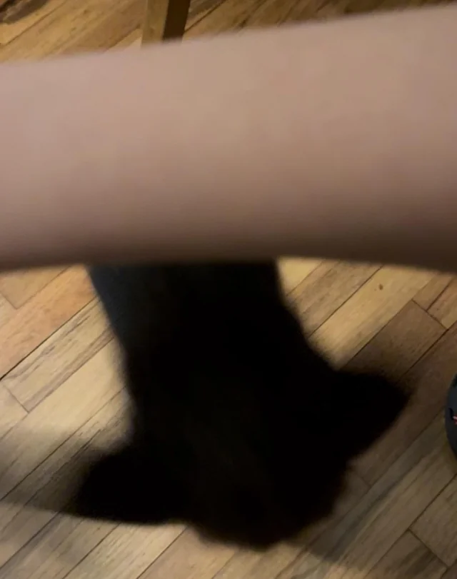 The last thing you see before you die🤭