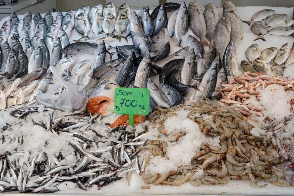 WA seafood packaging goes green with biofoam