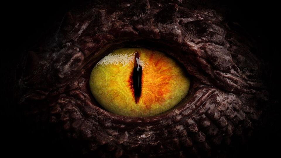 She Saw Everyone as Dragons?!