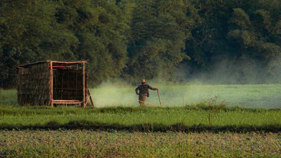 You Won’t Believe What’s Hiding in Your Food