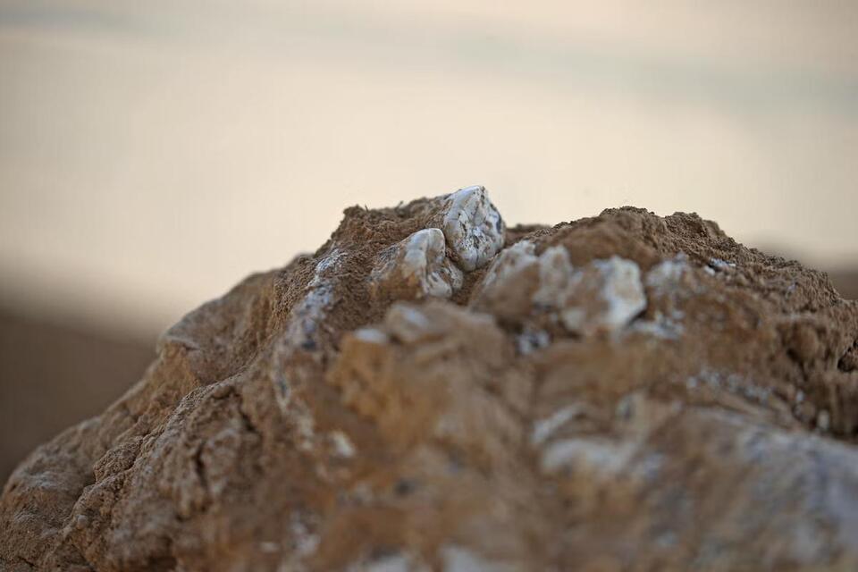 Ancient Jawbone Rewrites Human History