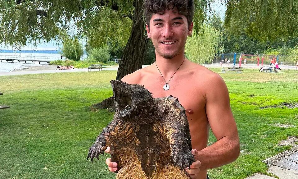 Dinosaur-like turtle shocks Kirkland locals