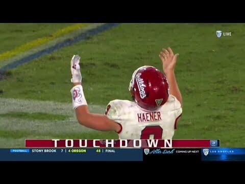 Should the 49ers bring Jake Haener home?