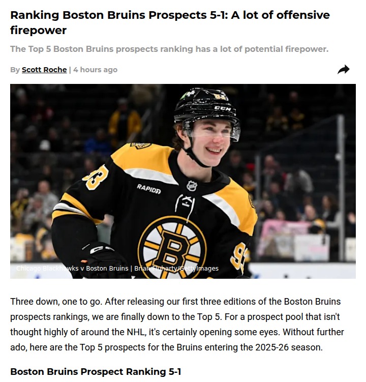 Bruins’ top prospects bring hope for Boston