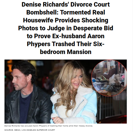 Denise Richards Drops Divorce Drama Receipts