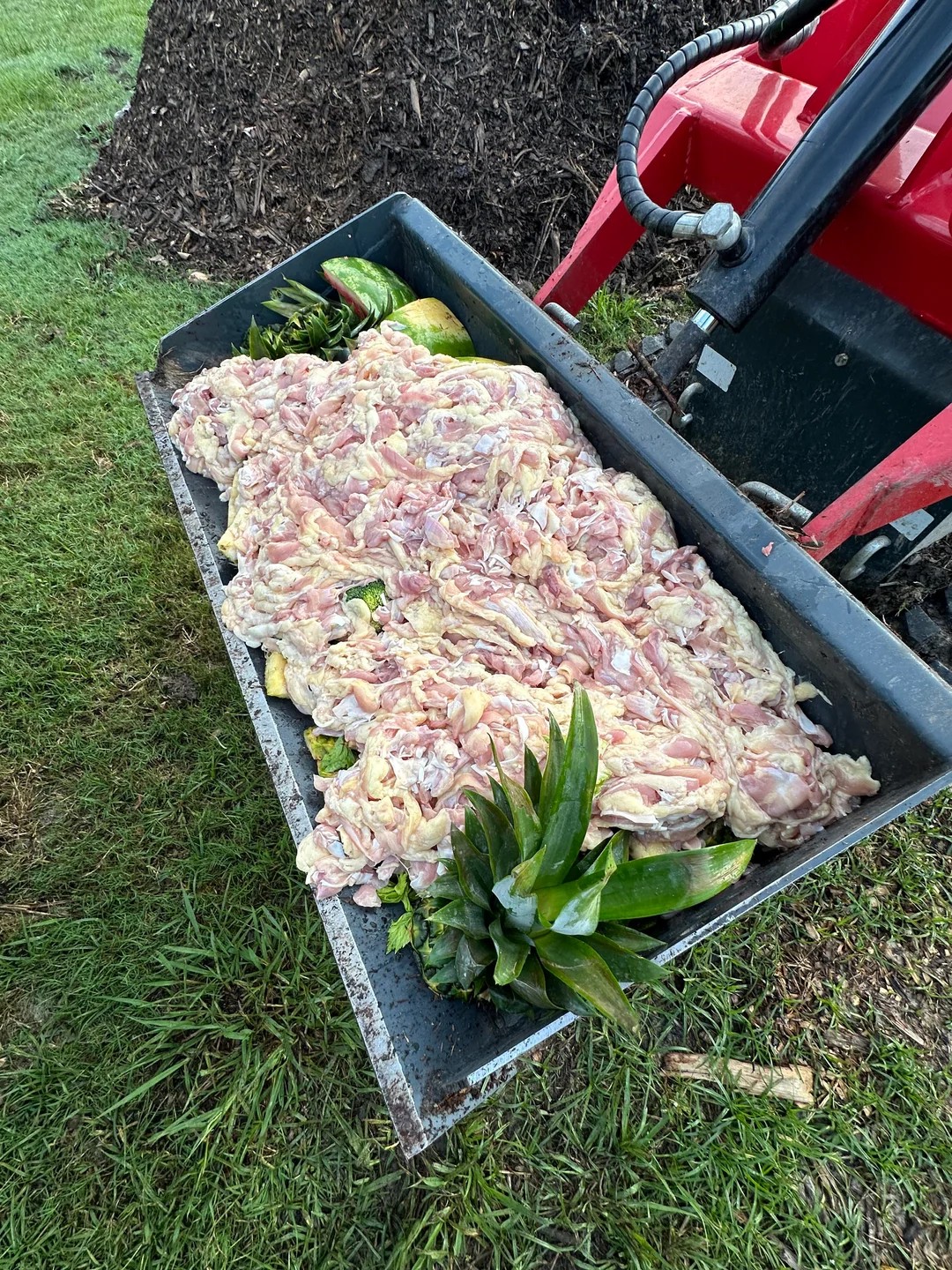 Composting meat is how to get awesome compost