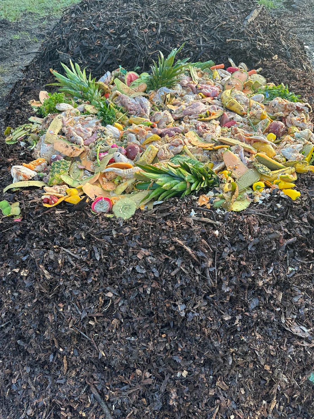 Composting meat is how to get awesome compost
