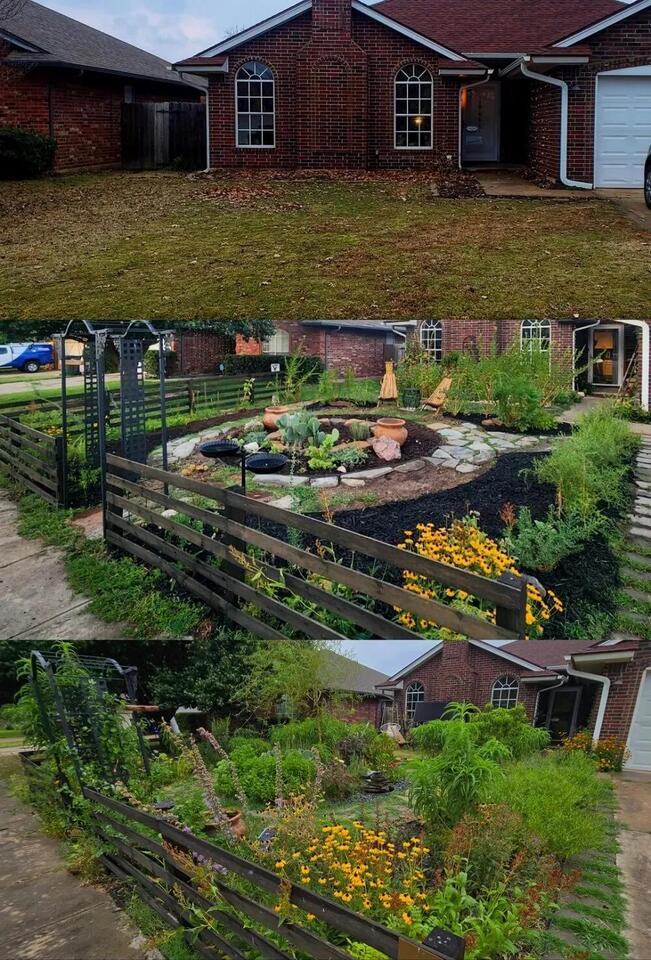 Lawn makeover: Native plants, less work, more beauty