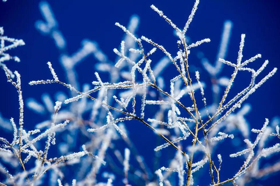 Montana’s winter forecast: More snow, wild swings