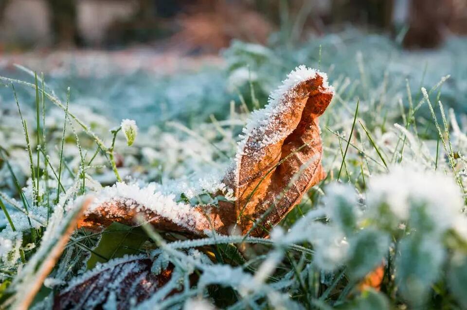 Montana’s winter forecast: More snow, wild swings