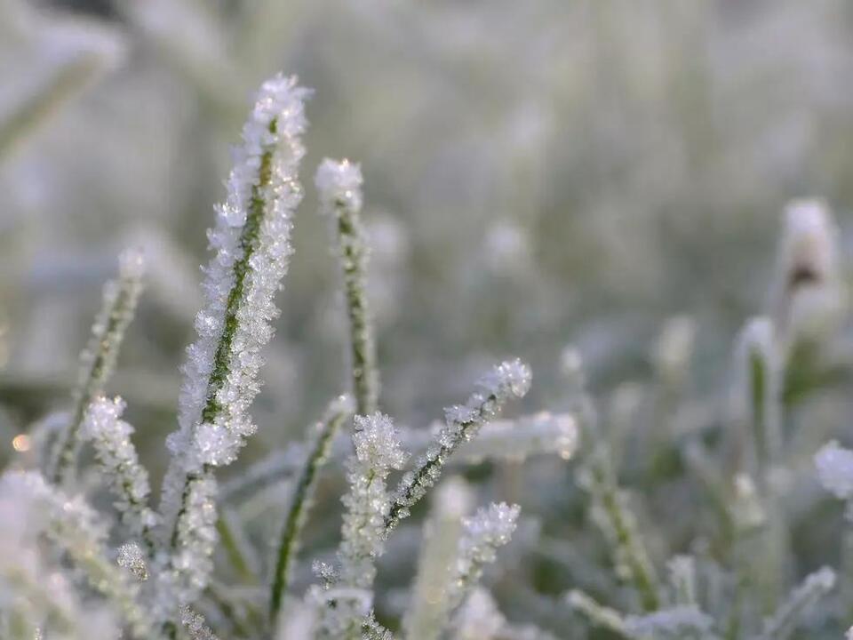Montana’s winter forecast: More snow, wild swings