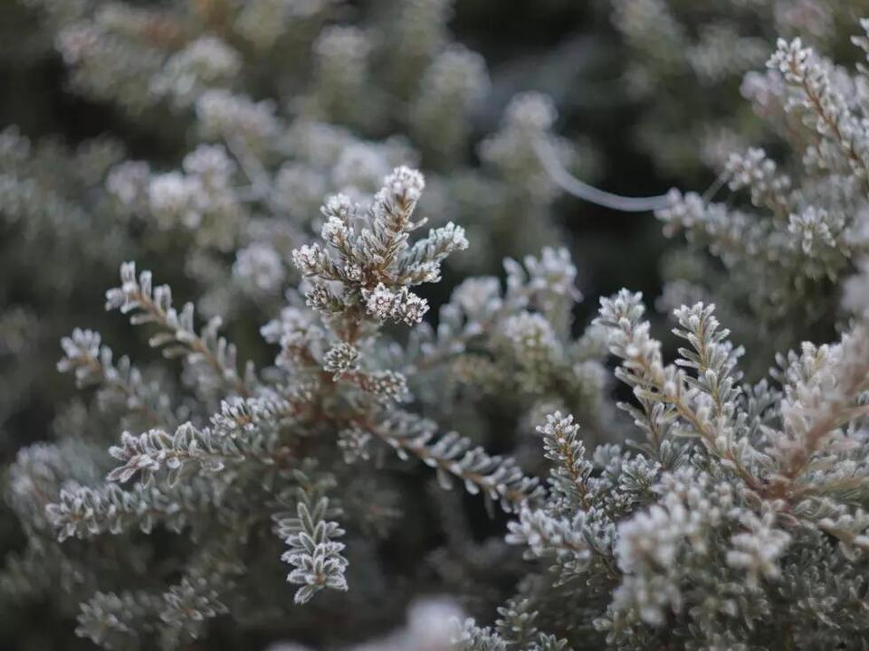 Montana’s winter forecast: More snow, wild swings