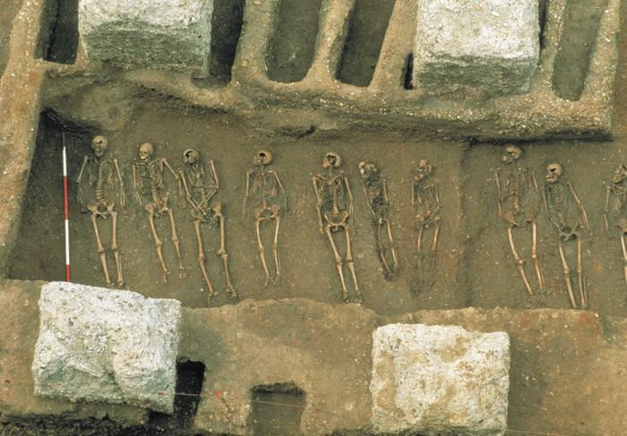 Ancient Plague Mystery Finally Solved!