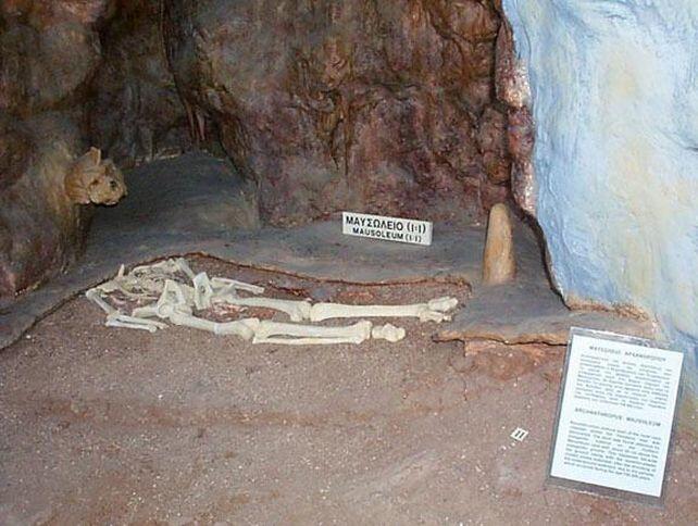 Ancient Skull Mystery: Not Human or Neanderthal?!