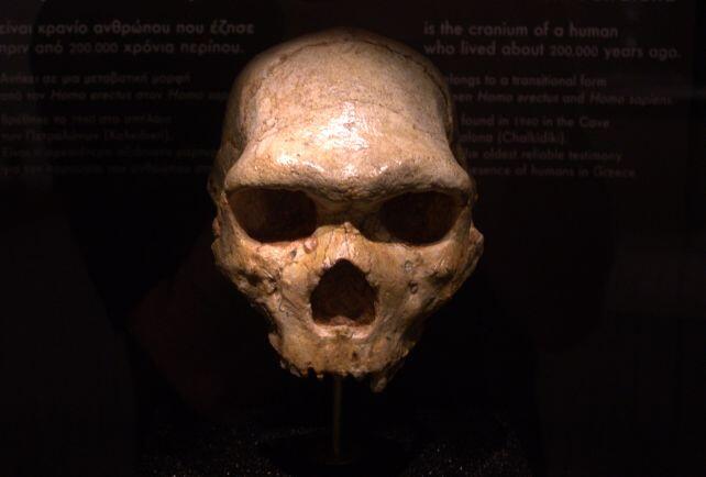 Ancient Skull Mystery: Not Human or Neanderthal?!