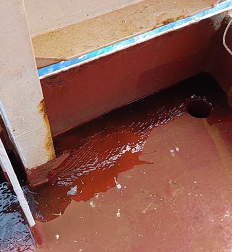 Shipping Drama: $2M Fine for Oil Dumping