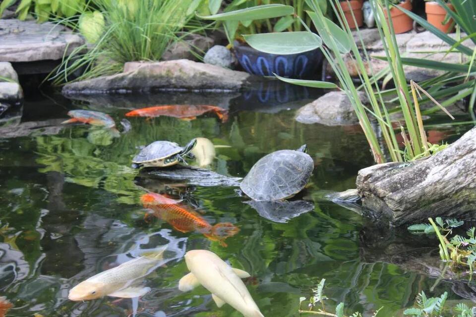 Inside Schorsch Village’s magical backyard oasis