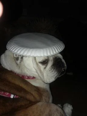 She's waiting for snacks