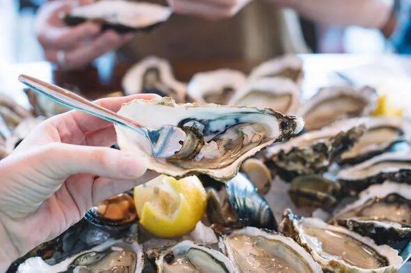 Oysters Gone Wrong: Flesh-Eating Bacteria?!