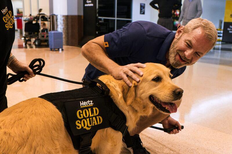 Golden Retrievers at the Airport?!