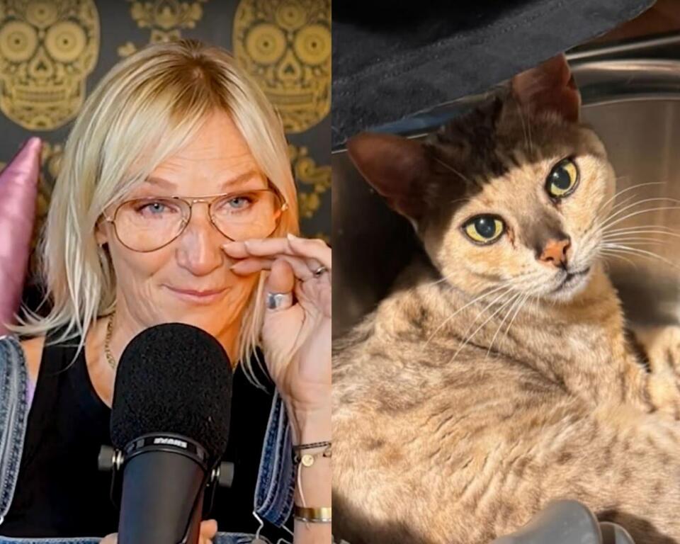 Jo Whiley’s Heartbreaking Cat Story