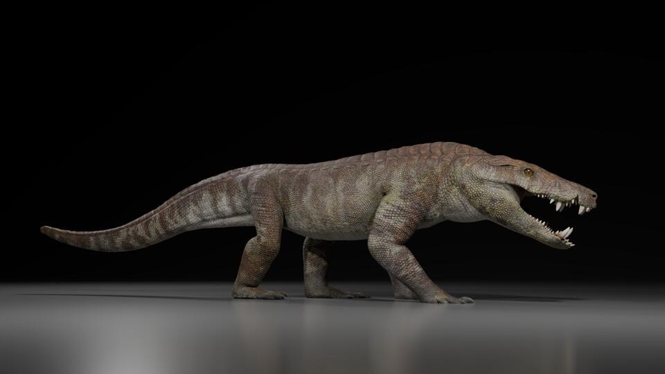 Ancient Croc That Hunted Dinosaurs?!