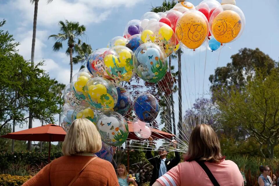 Disneyland birthday trip sparks family debate