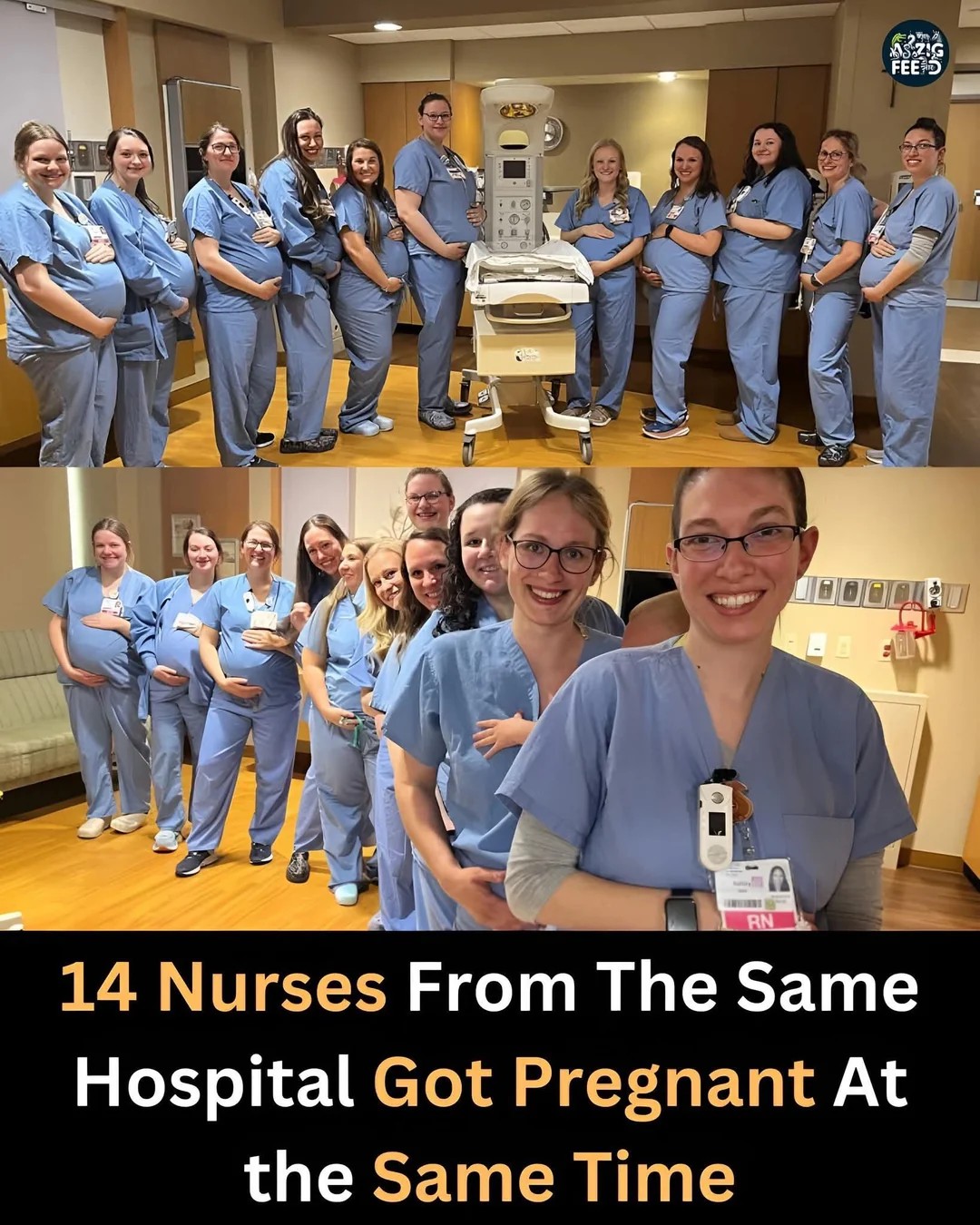 14 Nurses from the Same Hospital Got Pregnant Simultaneously🤯👶