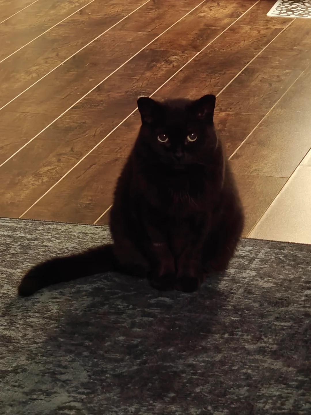 Does anyone else's void just sit across the room, staring straight into your soul🥺