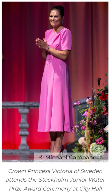 Princess Victoria’s Pink Dress Glow-Up