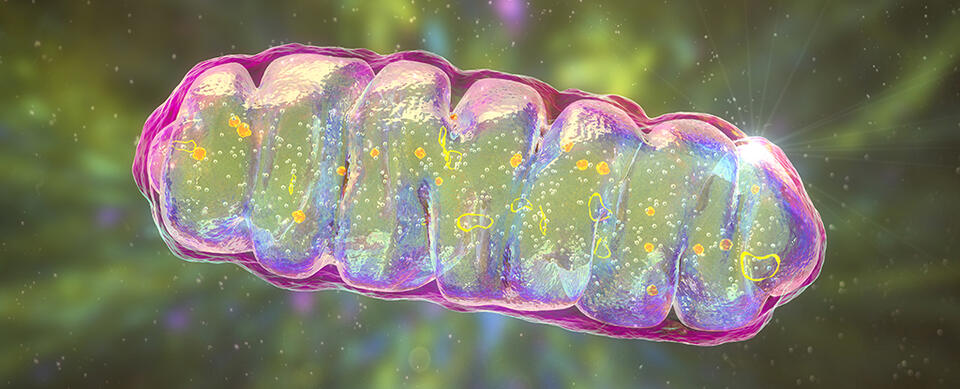 Scientists Just Flipped the Switch on Dementia