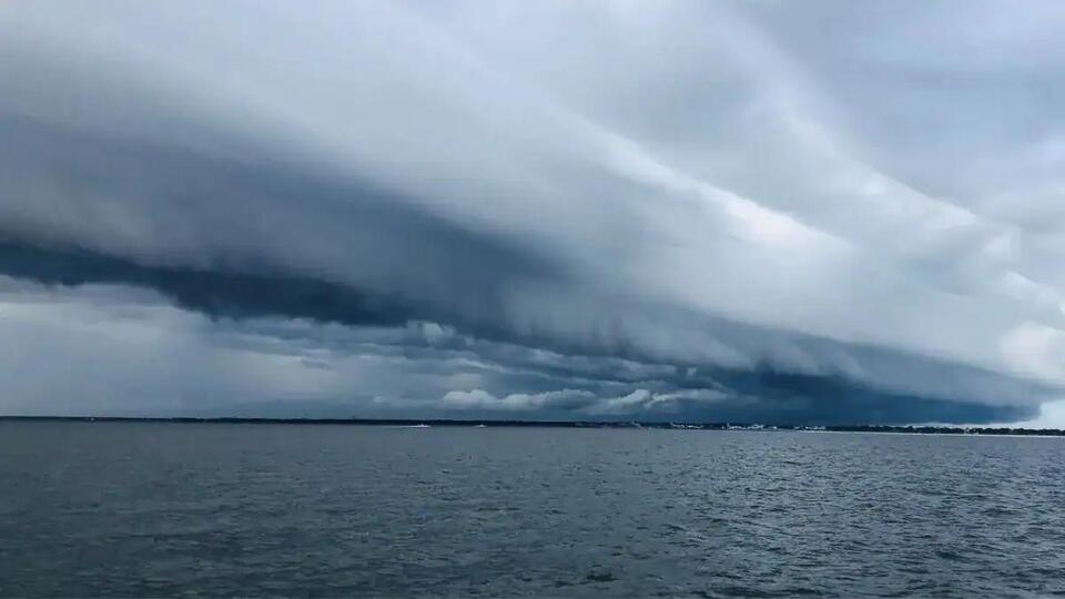Why fish go wild before a storm