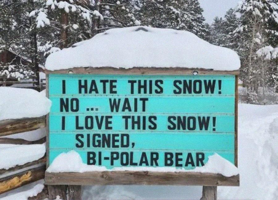 20 Signs That’ll Make You LOL IRL