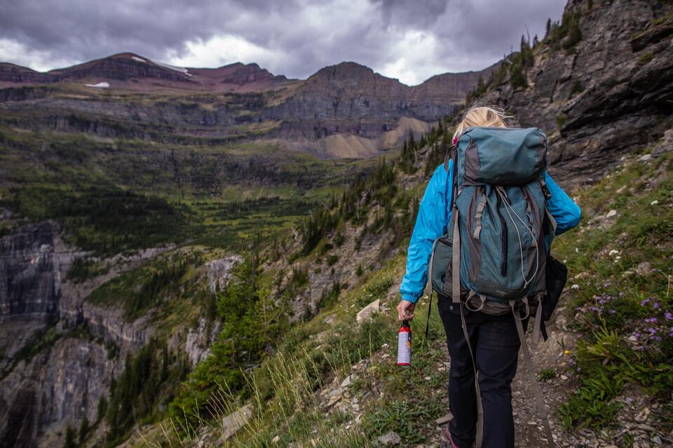 Bear encounter shakes up Glacier National Park