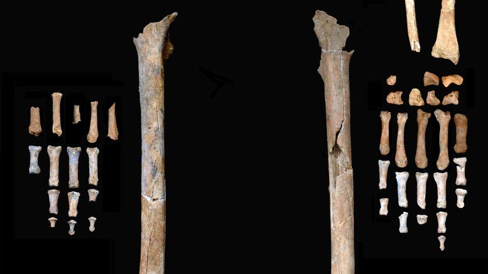 Ice Age Murder Mystery: Quartz Weapon Drama